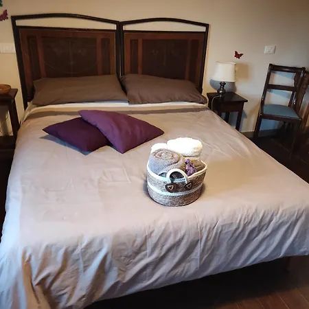 Il Nemus Agriturismo בית נופש *